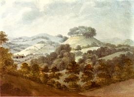 Fields Fields