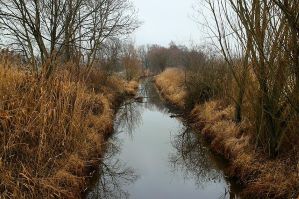 Drainage- Drainage-