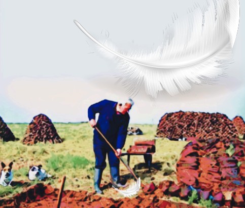 Where Angels Tread thumbnail image